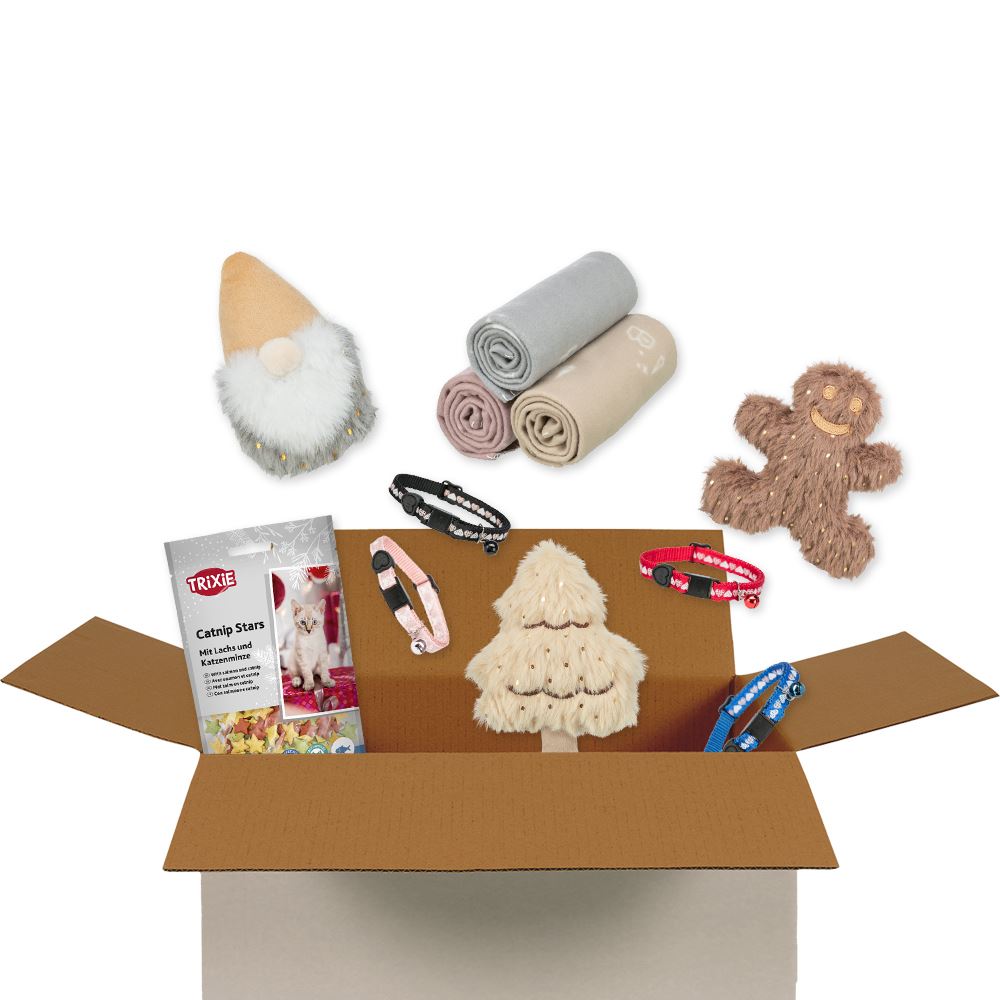 SURPRISE BOX "XMAS" (GATOS)