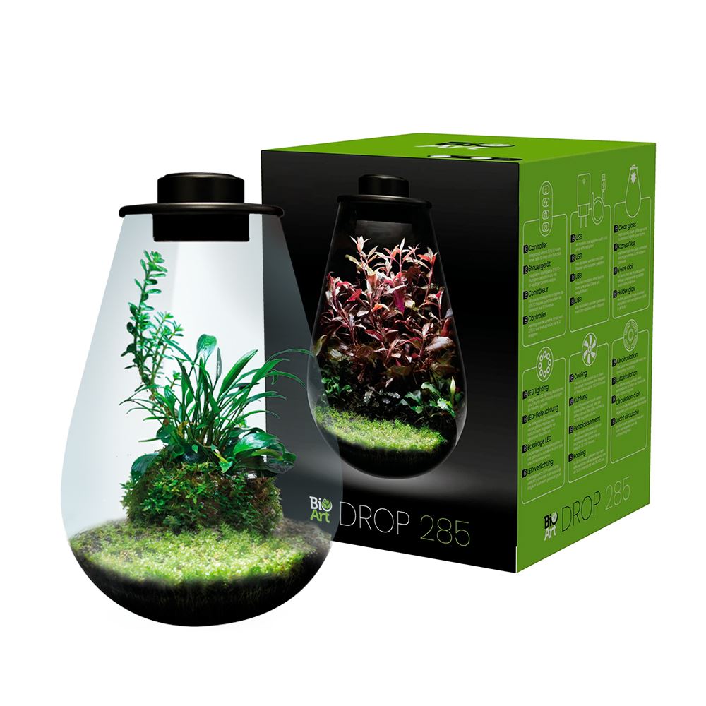 BIOART DROP - NANO TERRÁRIO