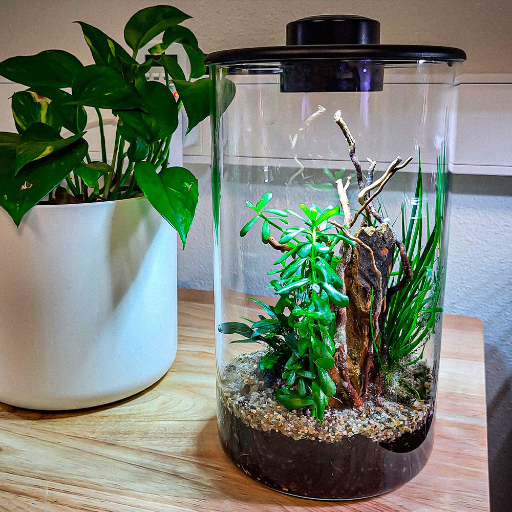 BIOART CYLINDER - NANO TERRÁRIO