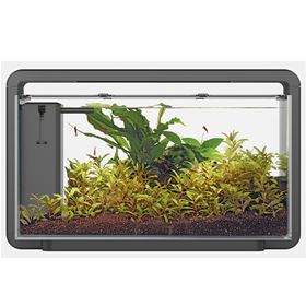 "AQUÁRIO DESIGN "HOME 30"