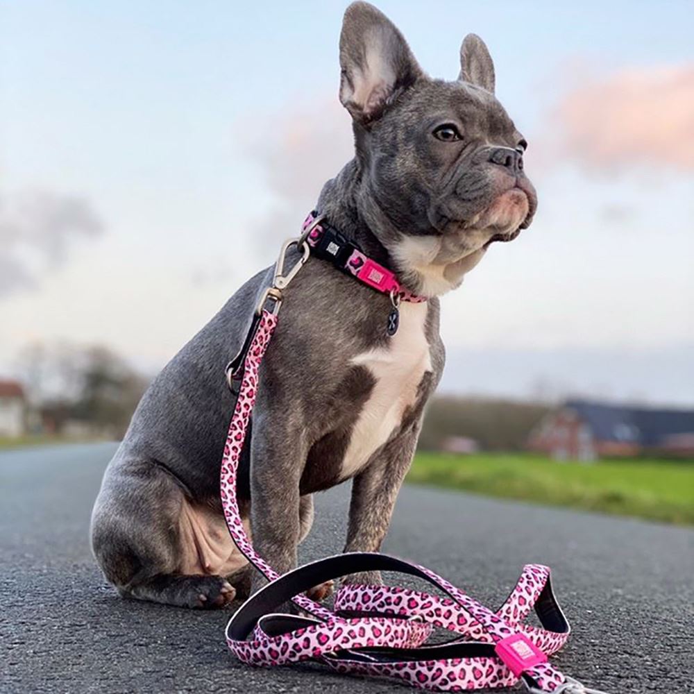 MAX & MOLLY - TRELA MULTI "LEOPARD PINK"
