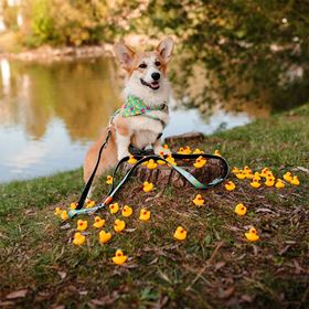 MAX & MOLLY - TRELA MULTI "DUCKLINGS"