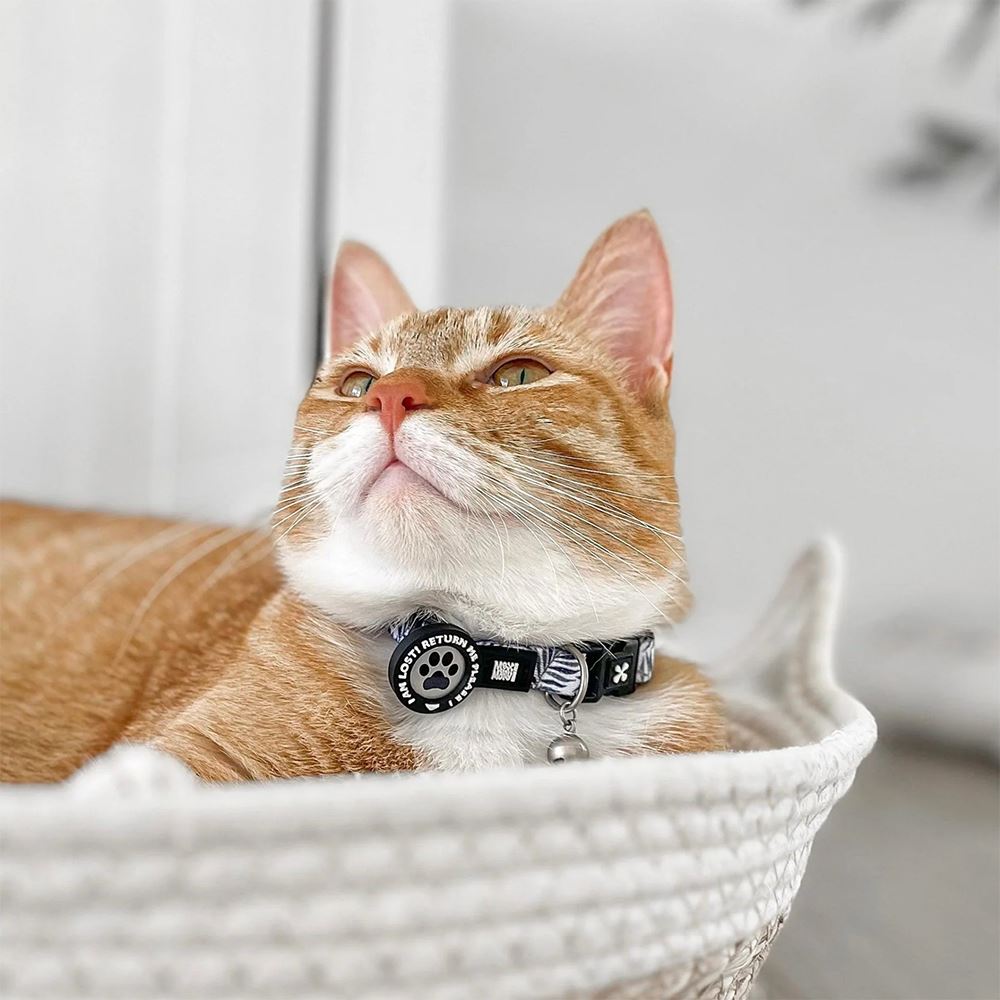 MAX & MOLLY - COLEIRA COM ID TAG "ORIGINAL GARDEN" PARA GATO