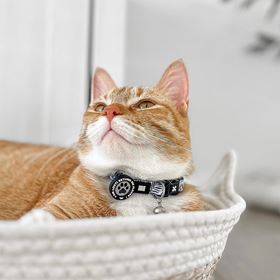 MAX & MOLLY - COLEIRA COM ID TAG "ORIGINAL GARDEN" PARA GATO