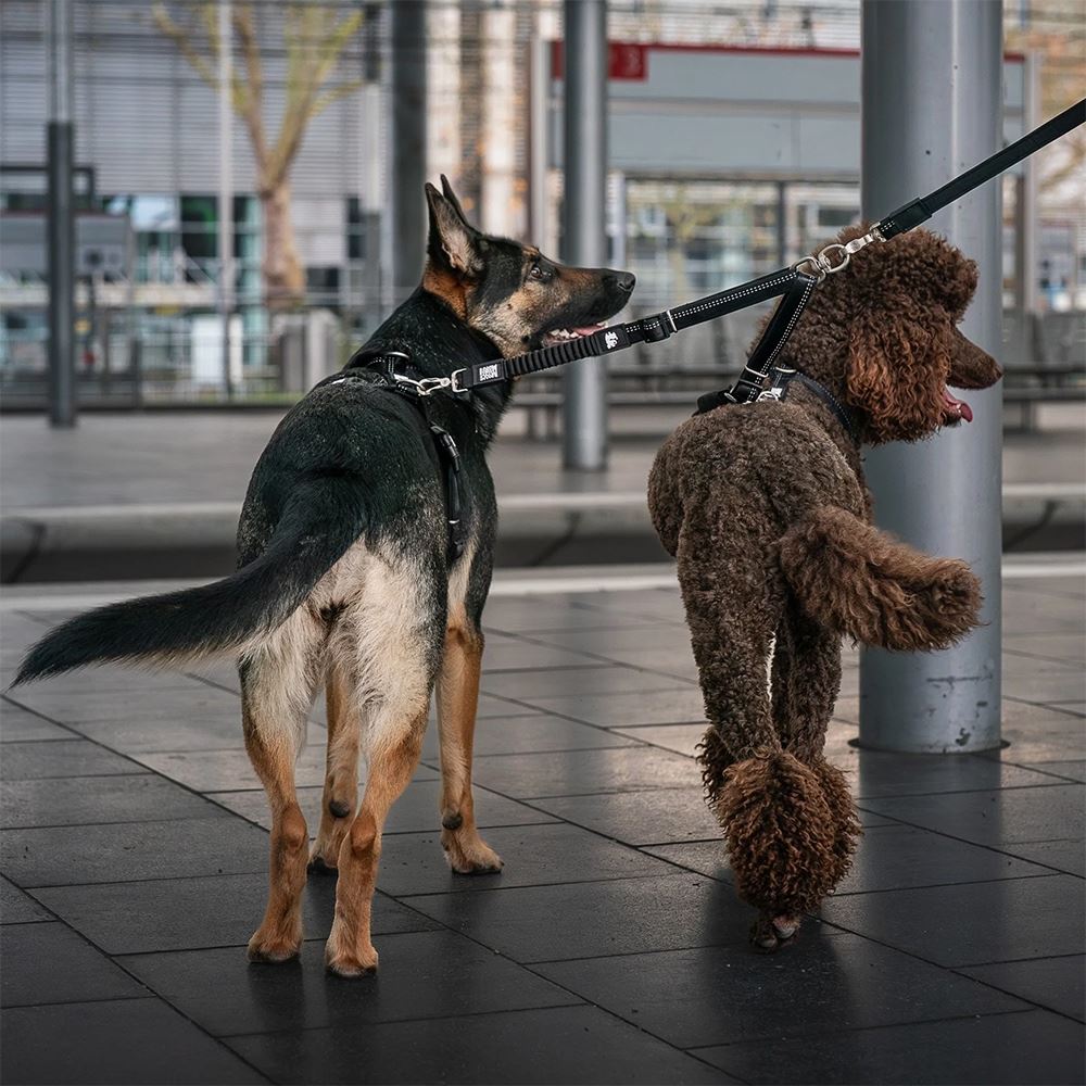 MAX & MOLLY - TRELA DUPLA "MATRIX 2.0 BLACK"