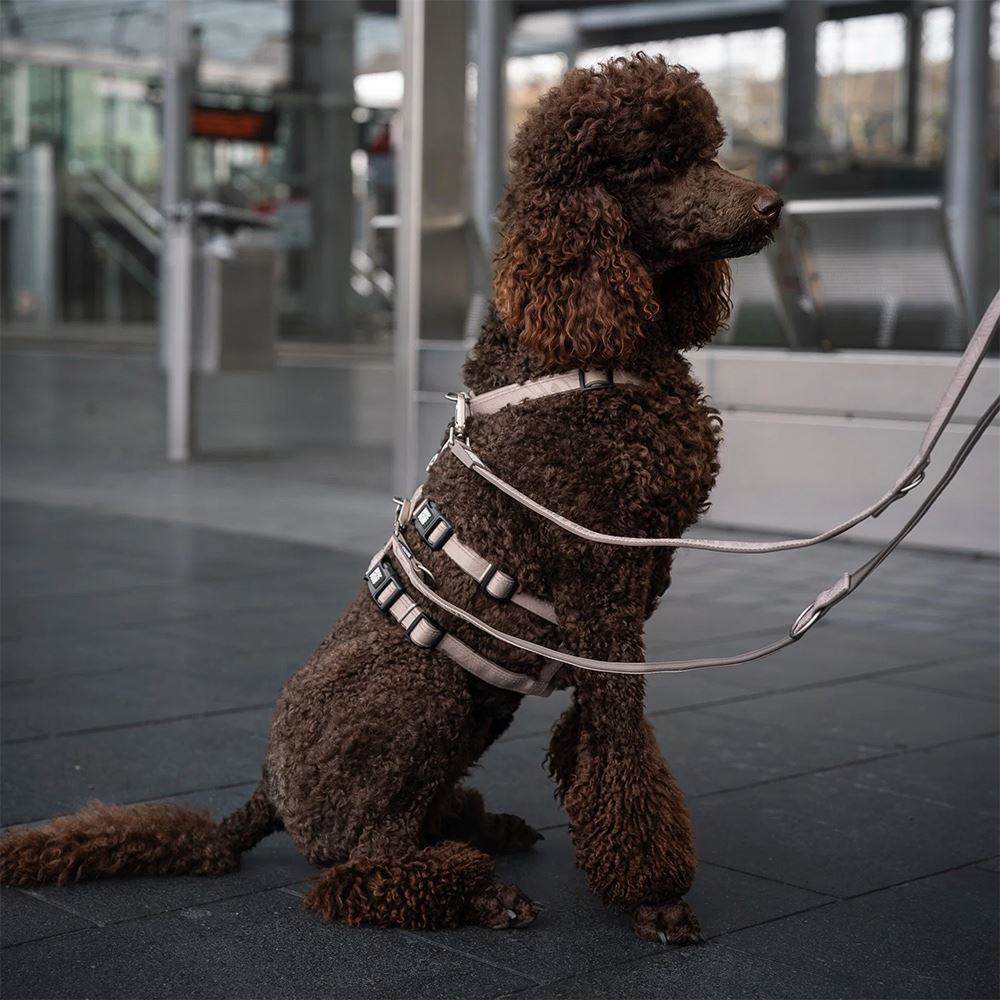 MAX & MOLLY - ADAPTADOR DE SEGURANÇA "MATRIX 2.0 BLACK"