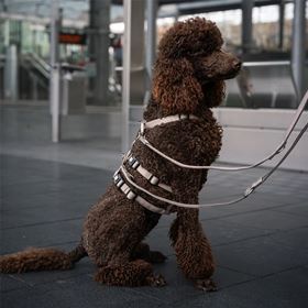 MAX & MOLLY - ADAPTADOR DE SEGURANÇA "MATRIX 2.0 BLACK"