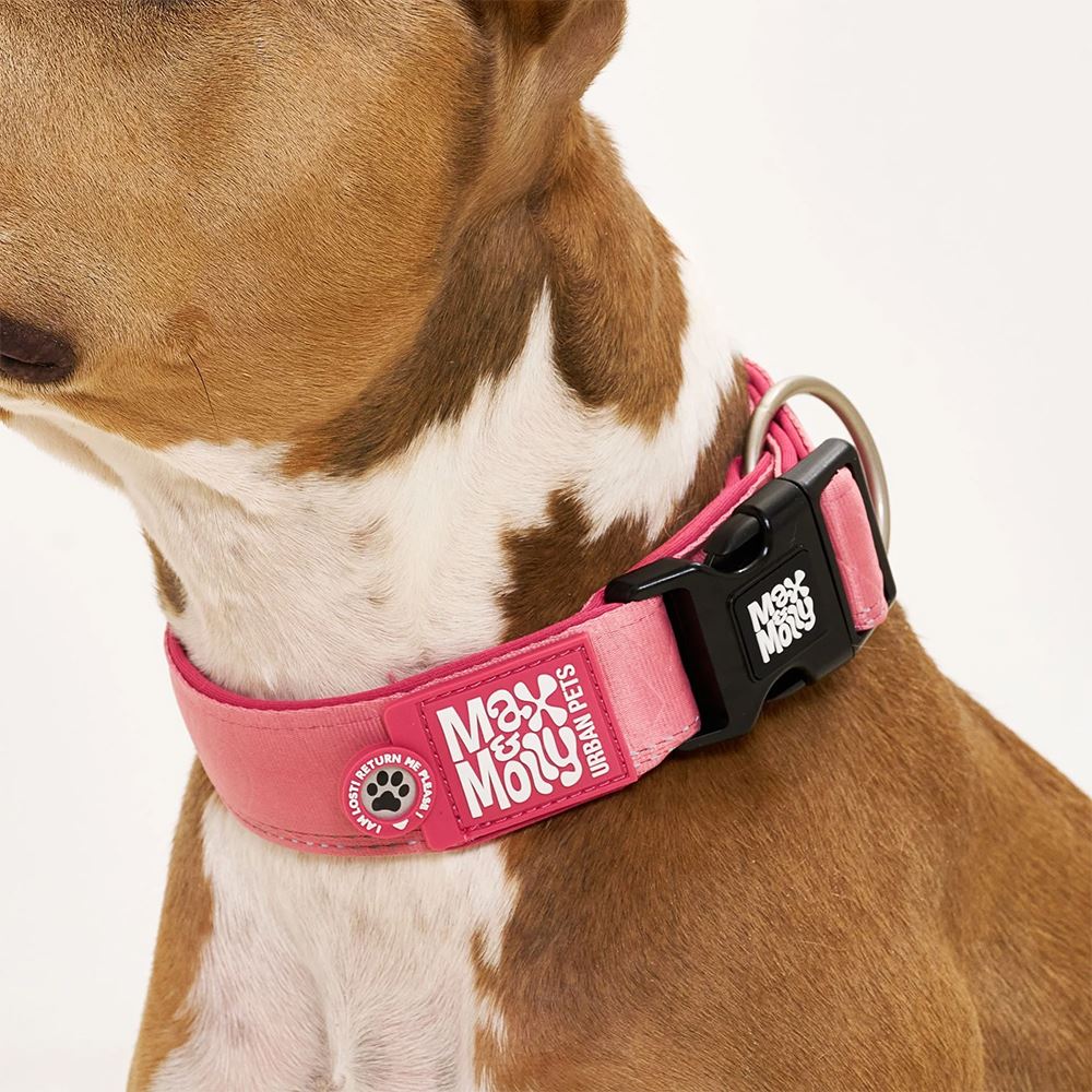 MAX & MOLLY - COLEIRA LARGA COM ID TAG "MATRIX 2.0 ROSE"