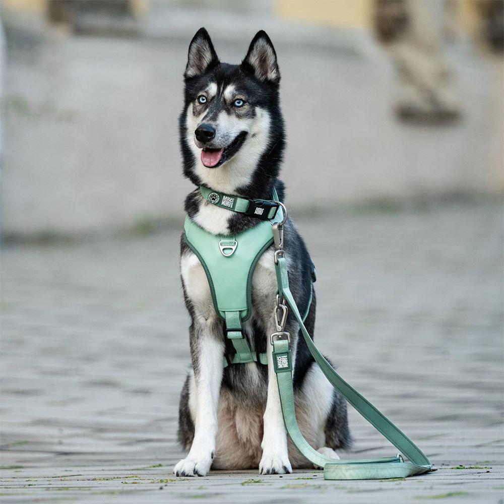 MAX & MOLLY - TRELA MULTI "MATRIX 2.0 JADE"