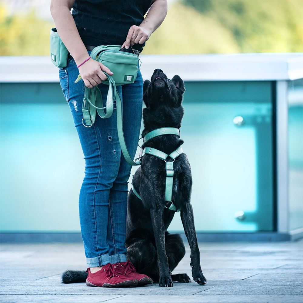 MAX & MOLLY - BOLSA PARA CINTURA "MATRIX 2.0 JADE"