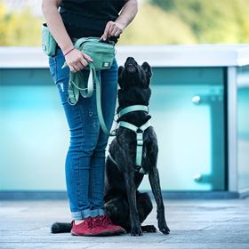 MAX & MOLLY - BOLSA PARA CINTURA "MATRIX 2.0 JADE"