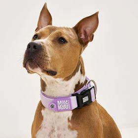 MAX & MOLLY - COLEIRA LARGA COM ID TAG "MATRIX 2.0 LAVENDER"