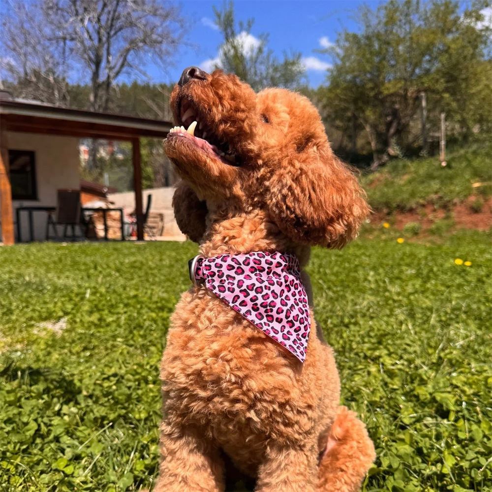MAX & MOLLY - BANDANA "LEOPARD PINK"