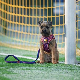 MAX & MOLLY - TRELA MULTI FUNÇÕES "FC BARCELONA"