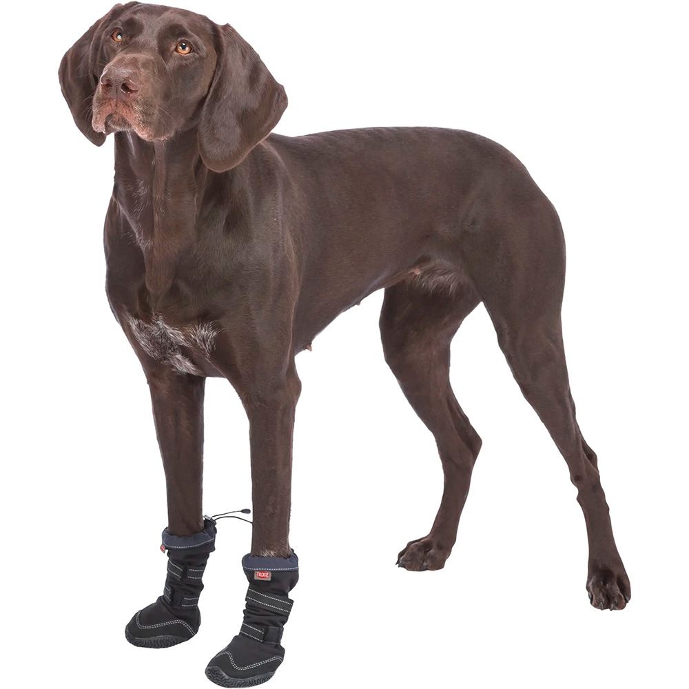 BOTA PROTECTORA "WALKER ACTIVE LONG" PARA CÃES