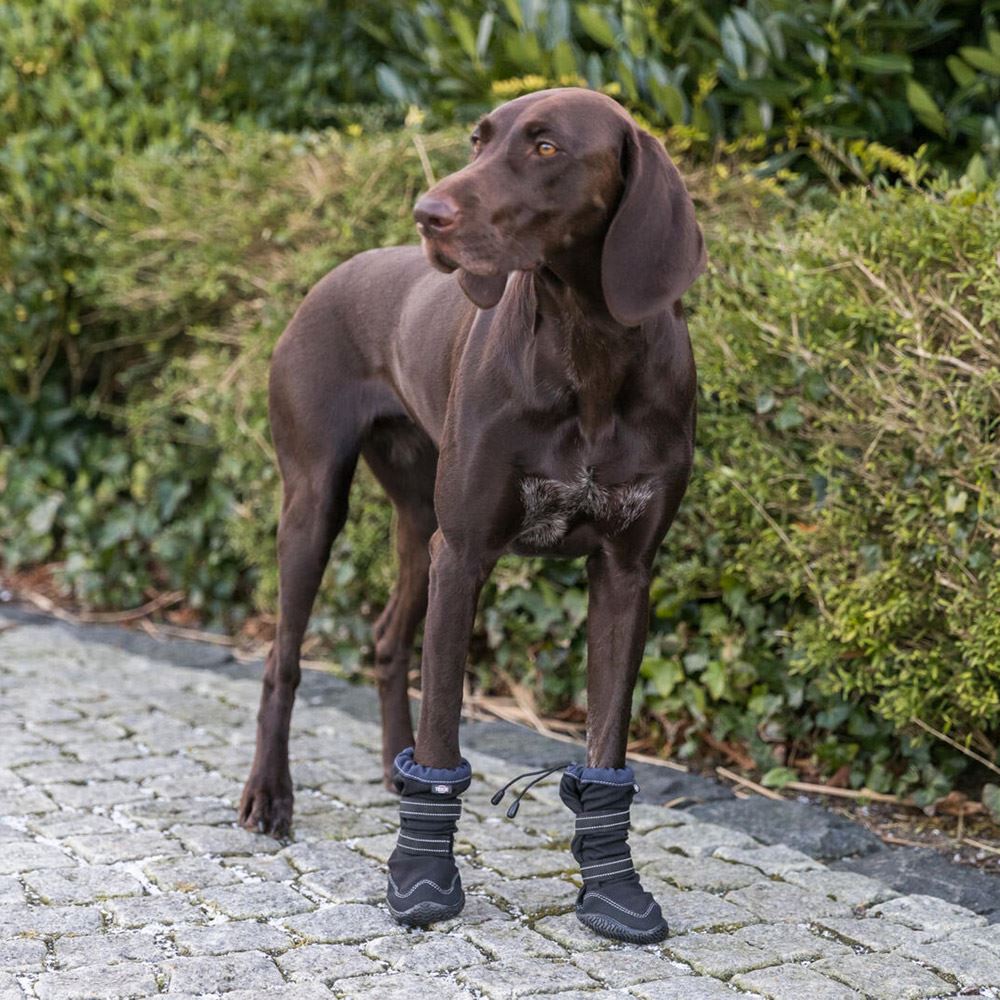 BOTA PROTECTORA "WALKER ACTIVE LONG" PARA CÃES
