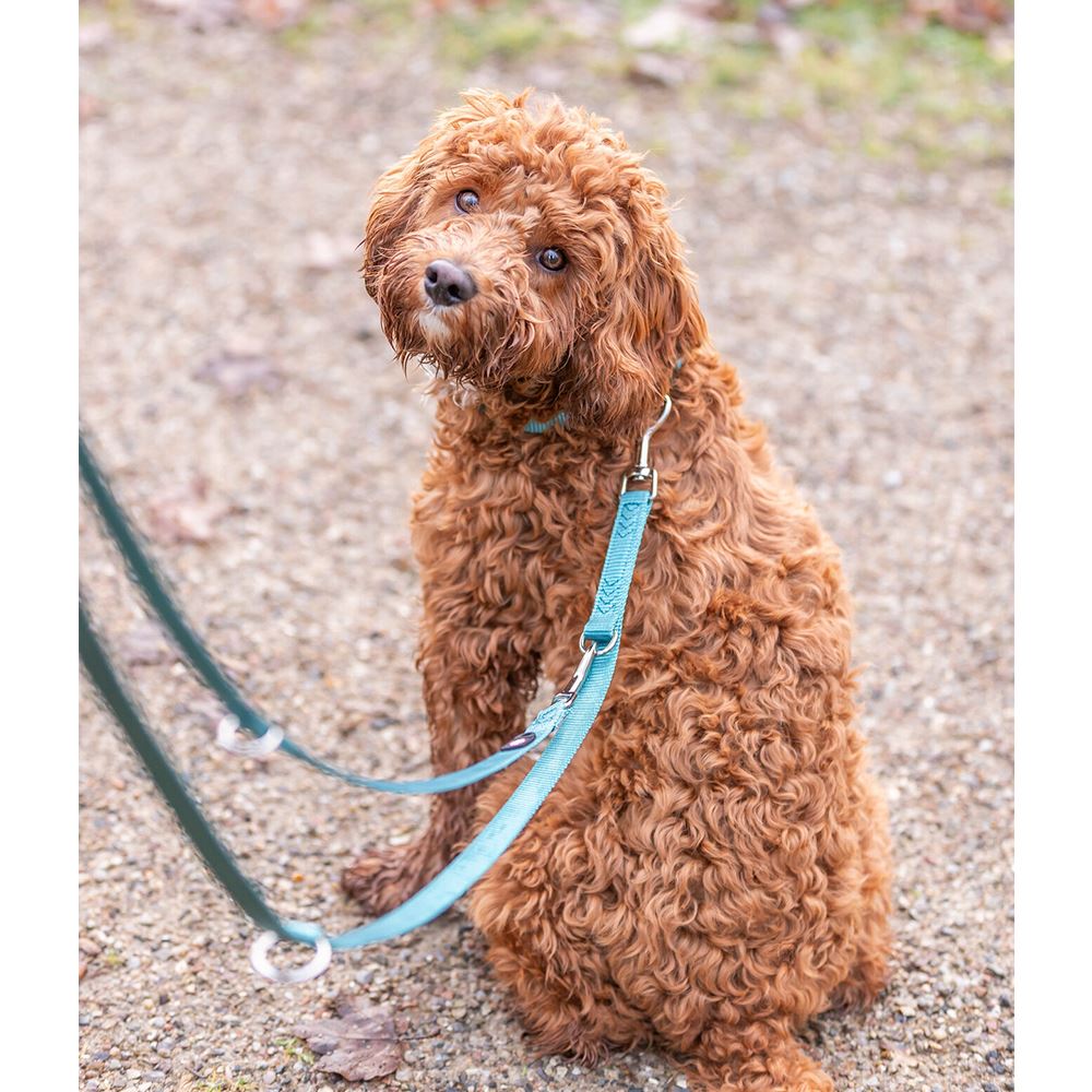 TRELA AJUSTÁVEL "PREMIUM"