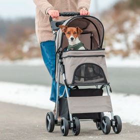 BUGGY "FRIENDS ON TOUR"