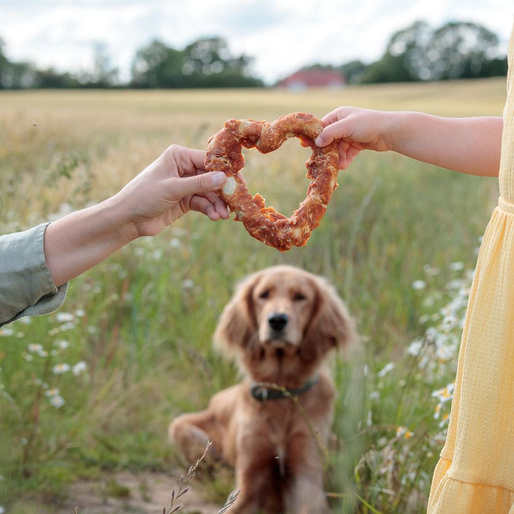 DENTAFUN CORAÇÃO COM FRANGO