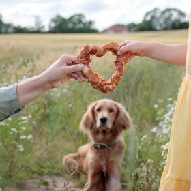 DENTAFUN CORAÇÃO COM FRANGO