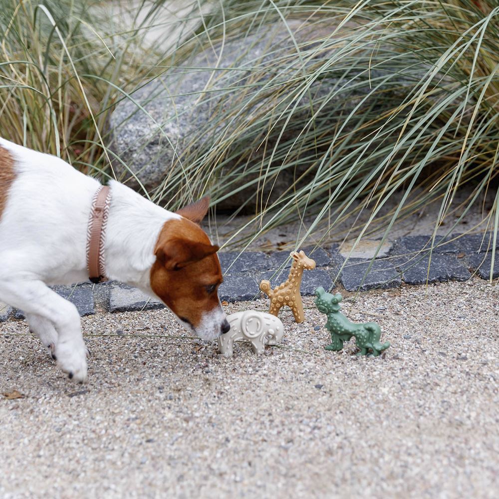 DENTAFUN - VEGGIE SAFARI (100 UNIDADES)