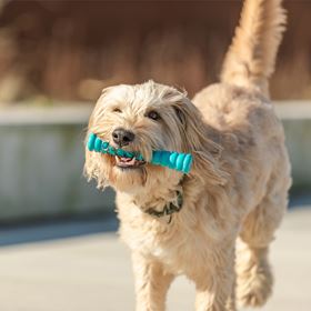 STICK "SUPER STRONG" EM TPR