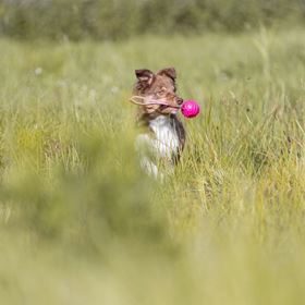 BOLA COM PEGA "SOFT & STRONG" EM TPR