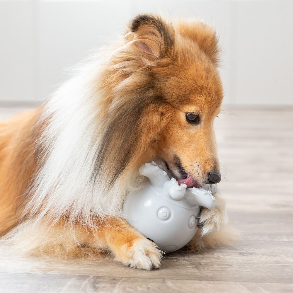 BOLA PARA SNACKS "POLVO" EM BORRACHA TPR