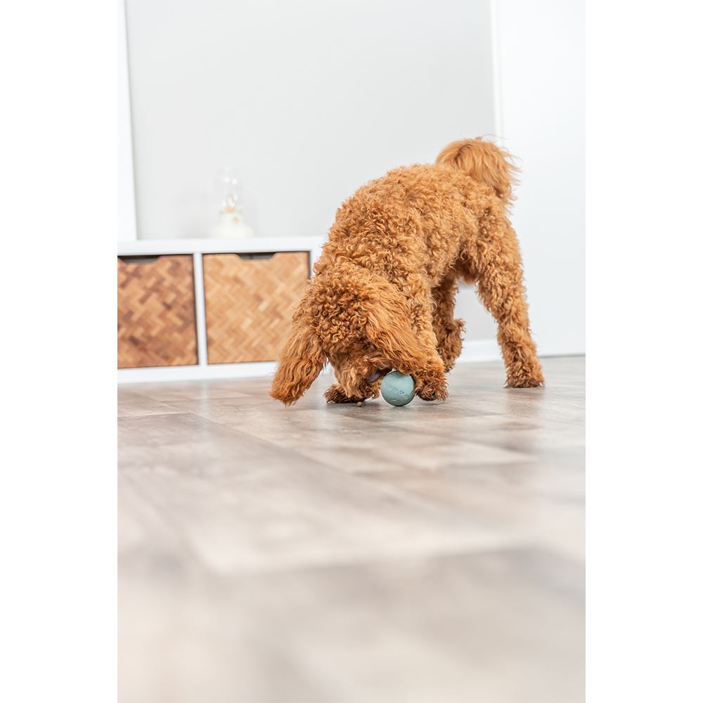 SNACKY-LABIRINTO - BOLA PARA PRÉMIOS