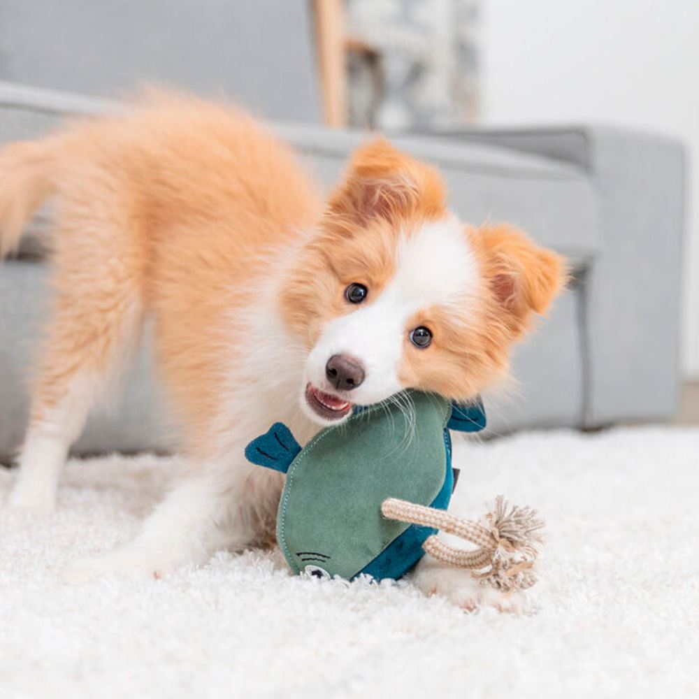 PEIXE EM PELE GENUINA E CORDA