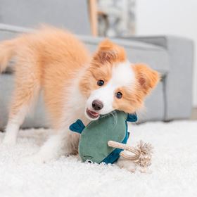 PEIXE EM PELE GENUINA E CORDA