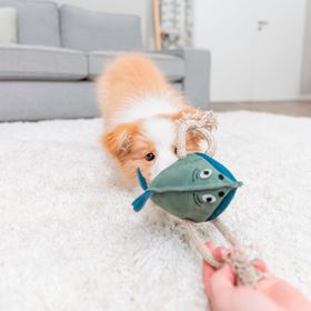 PEIXE EM PELE GENUINA E CORDA