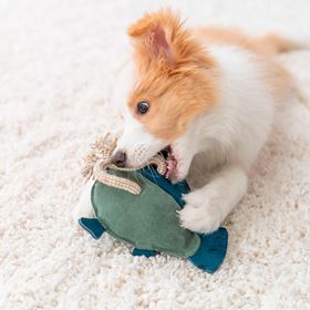 PEIXE EM PELE GENUINA E CORDA