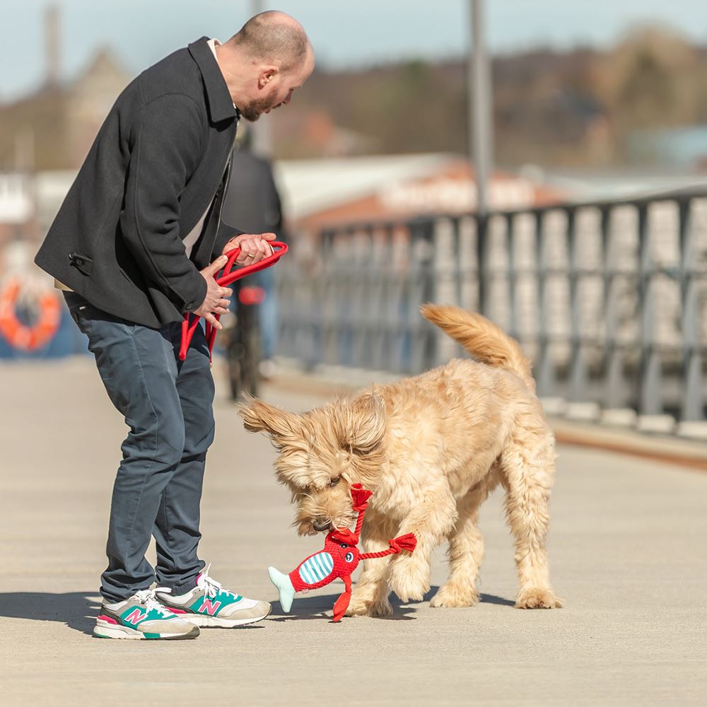 LAGOSTA EM POLIÉSTER