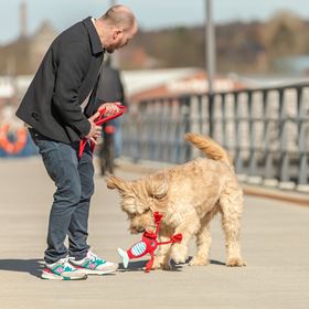 LAGOSTA EM POLIÉSTER