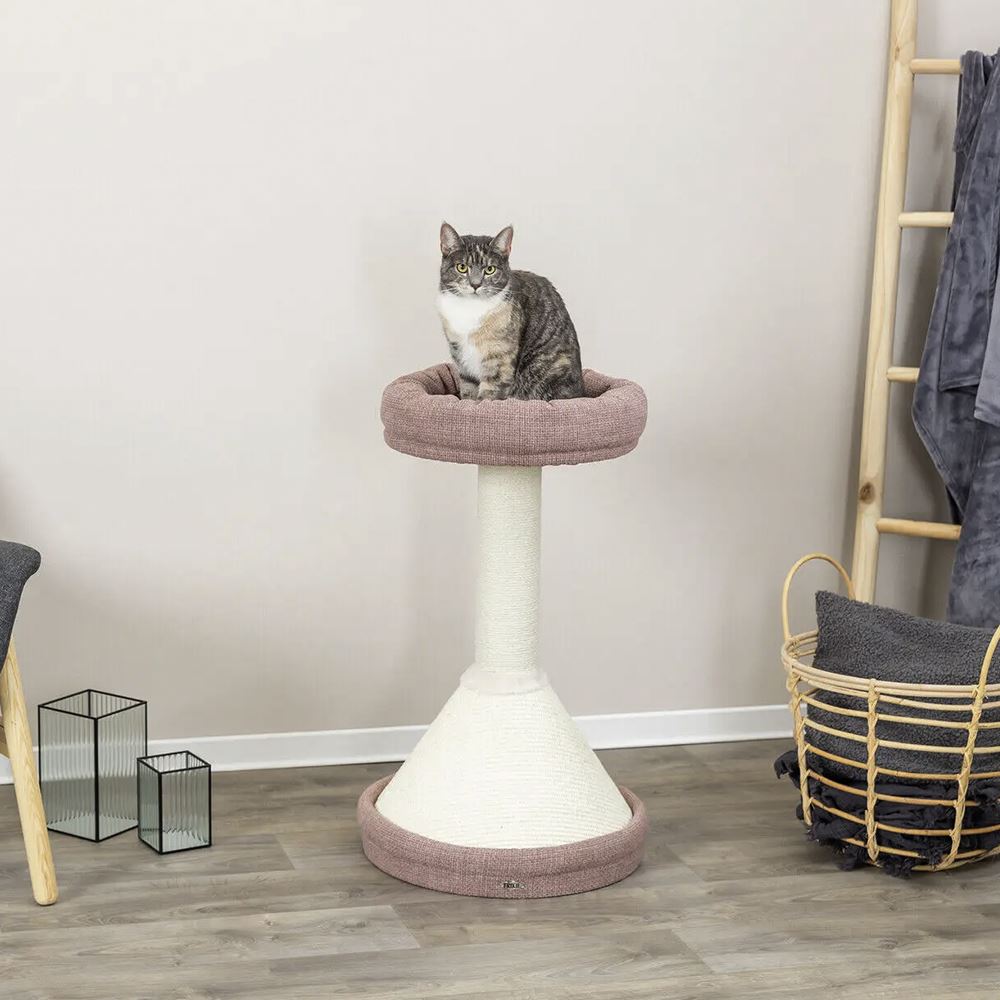 ARRANHADOR "VIVIANA"