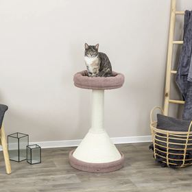 ARRANHADOR "VIVIANA"