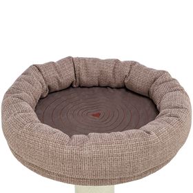 ARRANHADOR "VIVIANA"