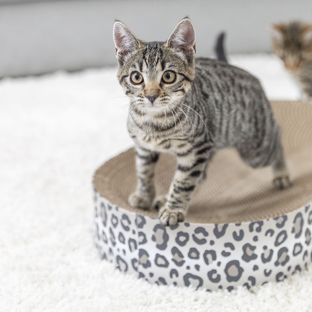 CAMA/ARRANHADOR EM CARTÃO "LEO"