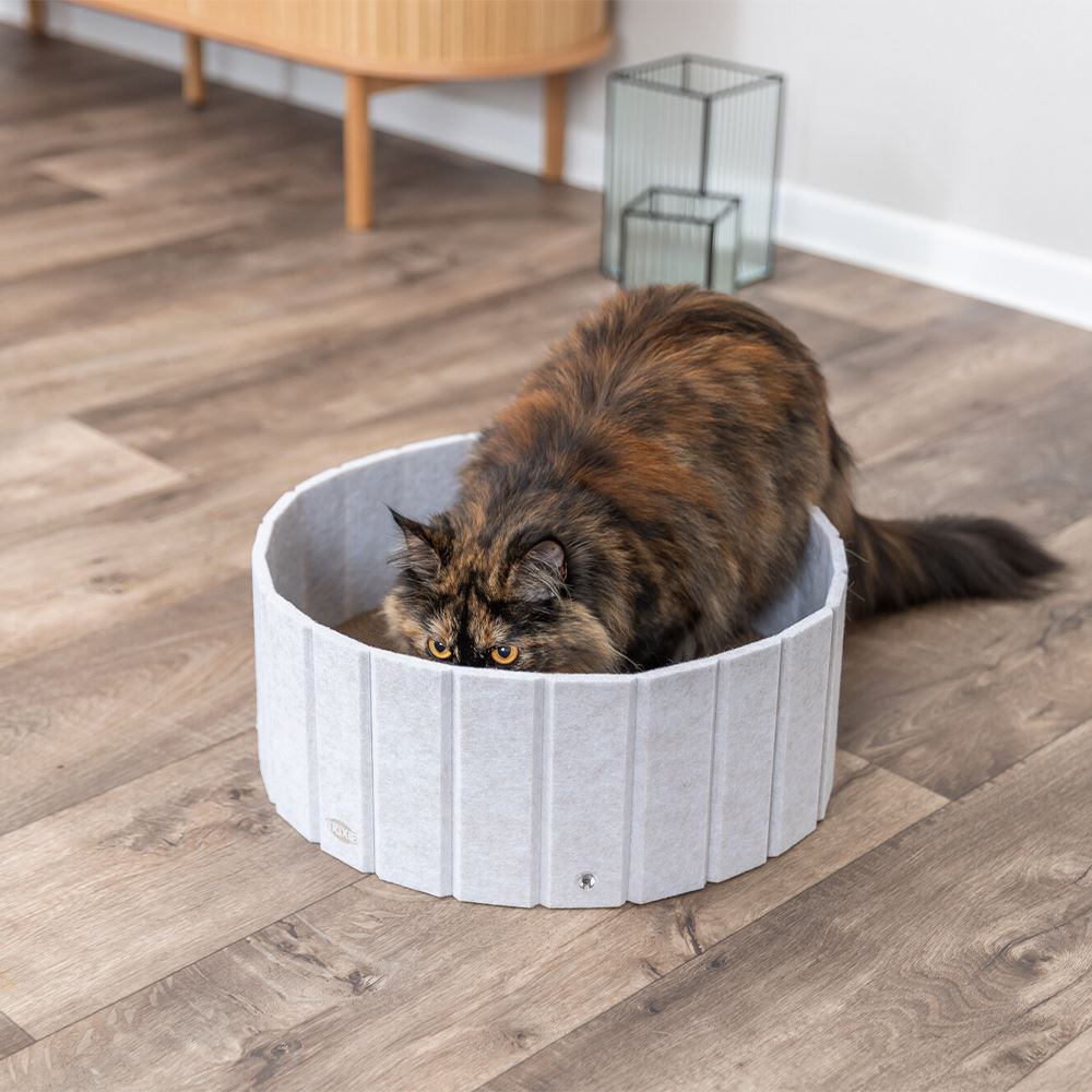 CAMA/ARRANHADOR EM CARTÃO/FELTRO