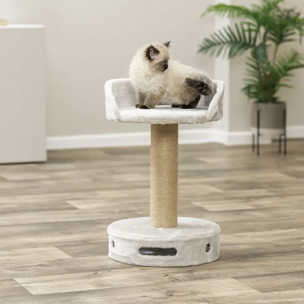 TREPADOR "DALIA" COM BASE PARA BRINCAR