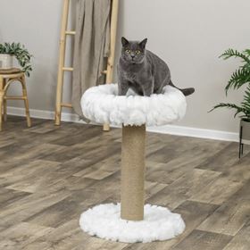 ARRANHADOR "MIRELLA"