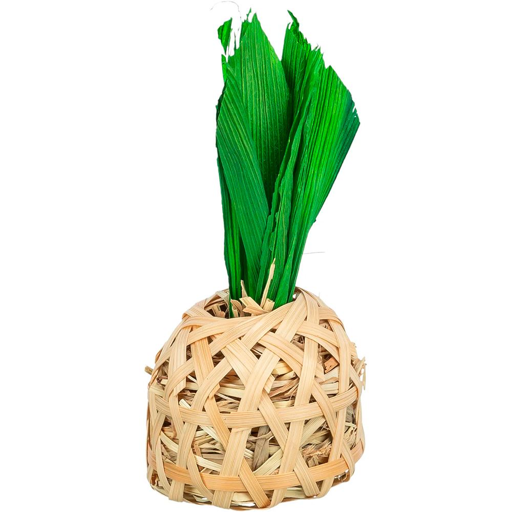 ABACAXI EM BAMBOO COM FOLHAS DE MILHO E FENO