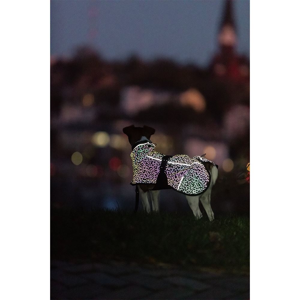 CAPA "LIMOUX REFLECT"