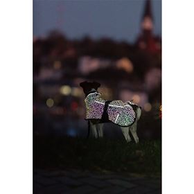 CAPA "LIMOUX REFLECT"