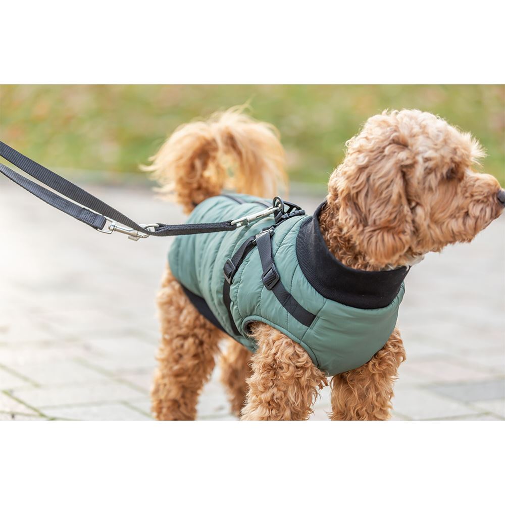 CAPA "PONTIS" COM PEITORAL PARA CÃES