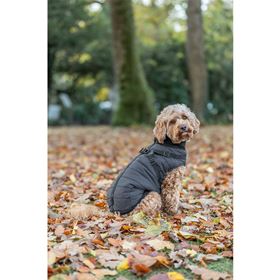 CAPA "PONTIS" COM PEITORAL PARA CÃES