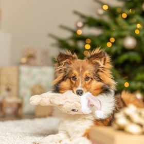 BONECO "COOKIE" EM PELÚCIA COM SOM