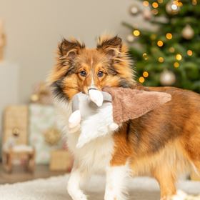 ANÃO EM PELÚCIA COM SOM