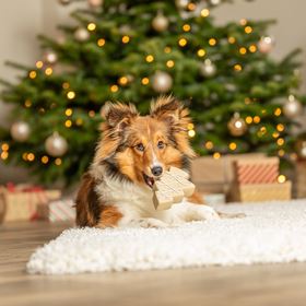 ÁRVORE DE NATAL EM LÁTEX